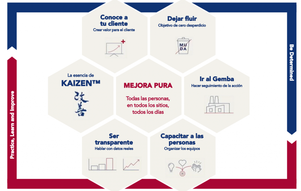 Gráfico hexagonal de los principios de KAIZEN™ con enfoque en el cliente, fluidez de procesos, transparencia y empoderamiento del personal para la mejora continua.