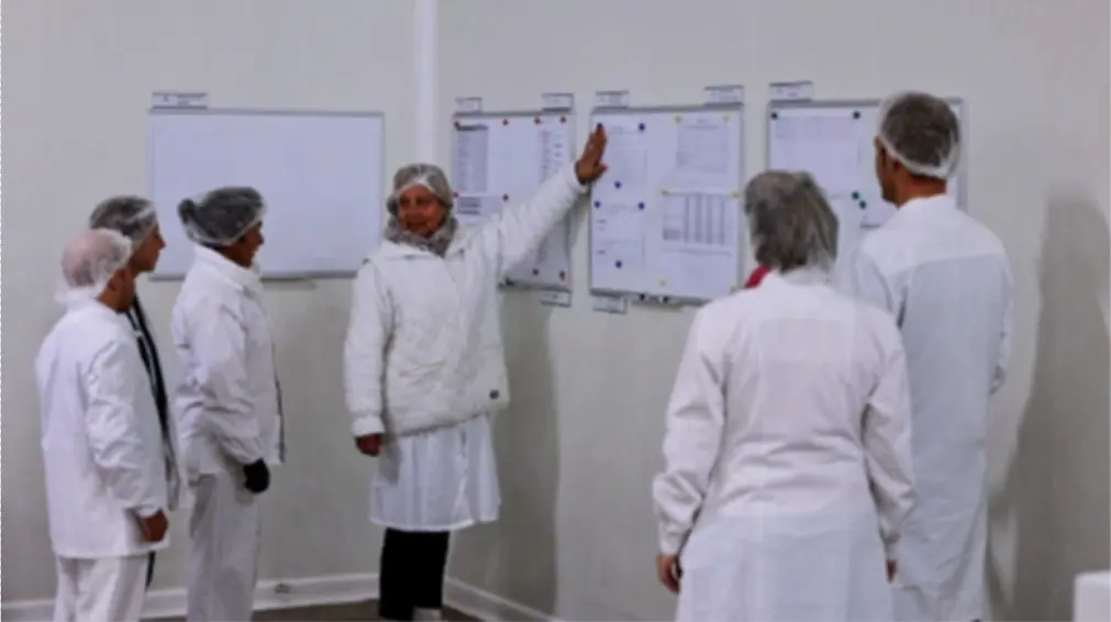 meccanismo del Daily KAIZEN™