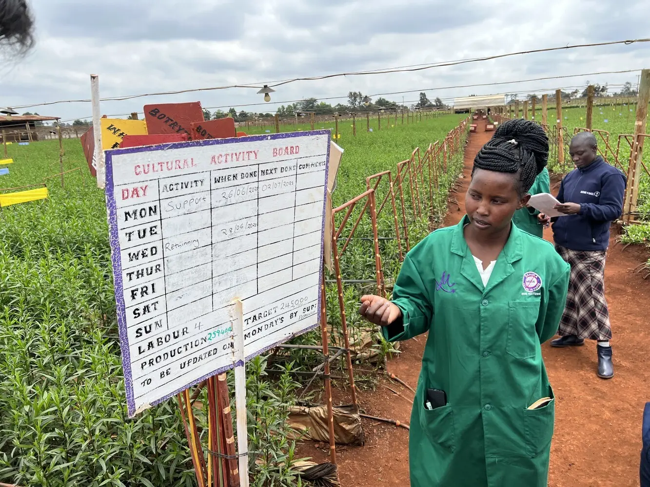 suddivise le aree coltivate con un “Gemba leader”