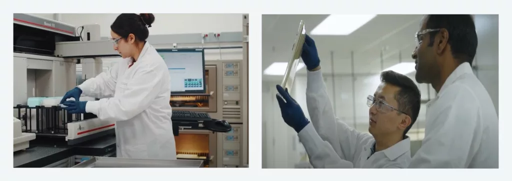 Foto von Mitgliedern des Codexi-Teams