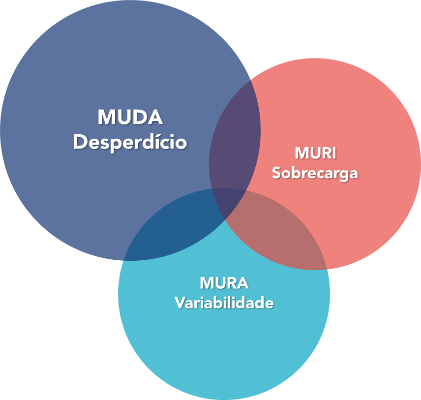 Representação visual de Muda, Mura e Muri