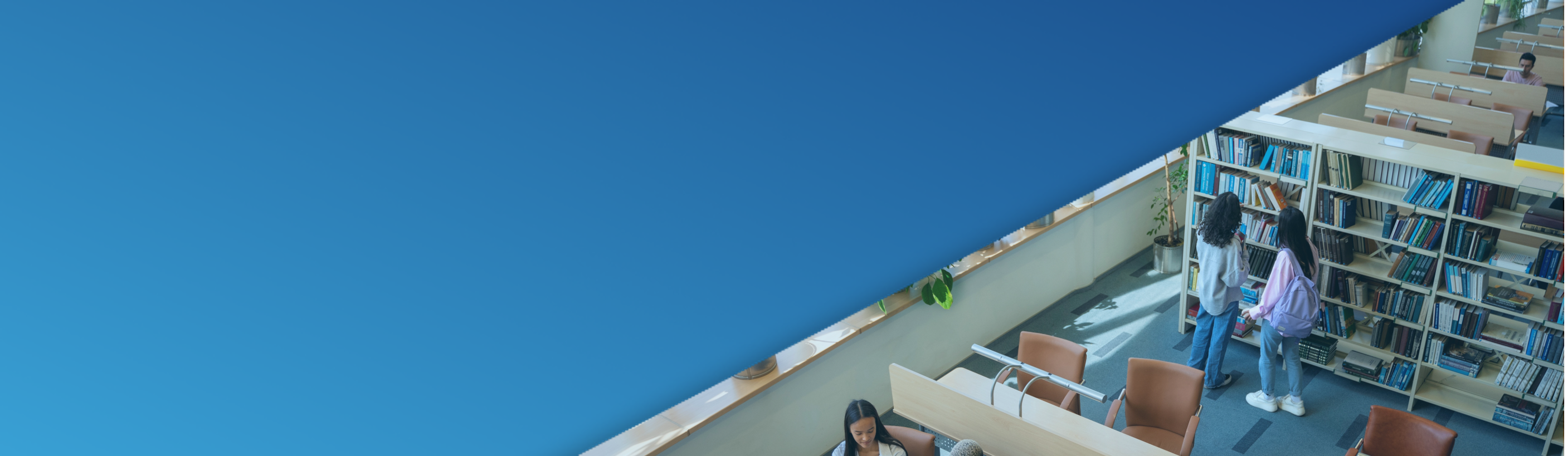 Consultoria em Educação