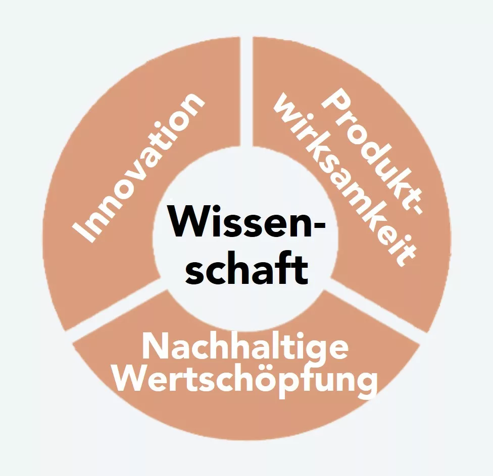 Darstellung der Kernwerte des Unternehmens