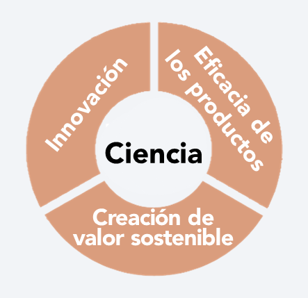 Representaci&oacute;n de los valores de la empresa