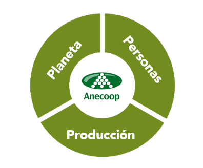 Diagrama representativo de los pilares de la empresa
