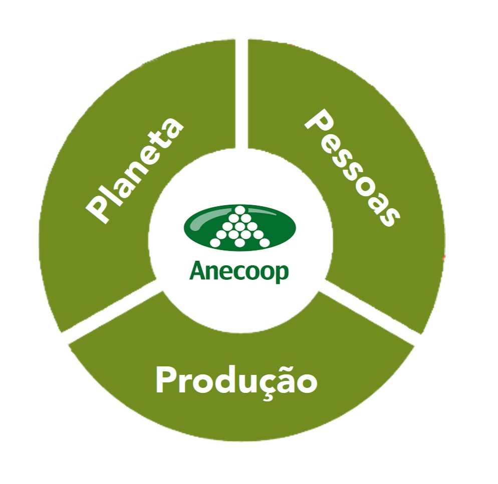 Diagrama representativo dos pilares da empresa