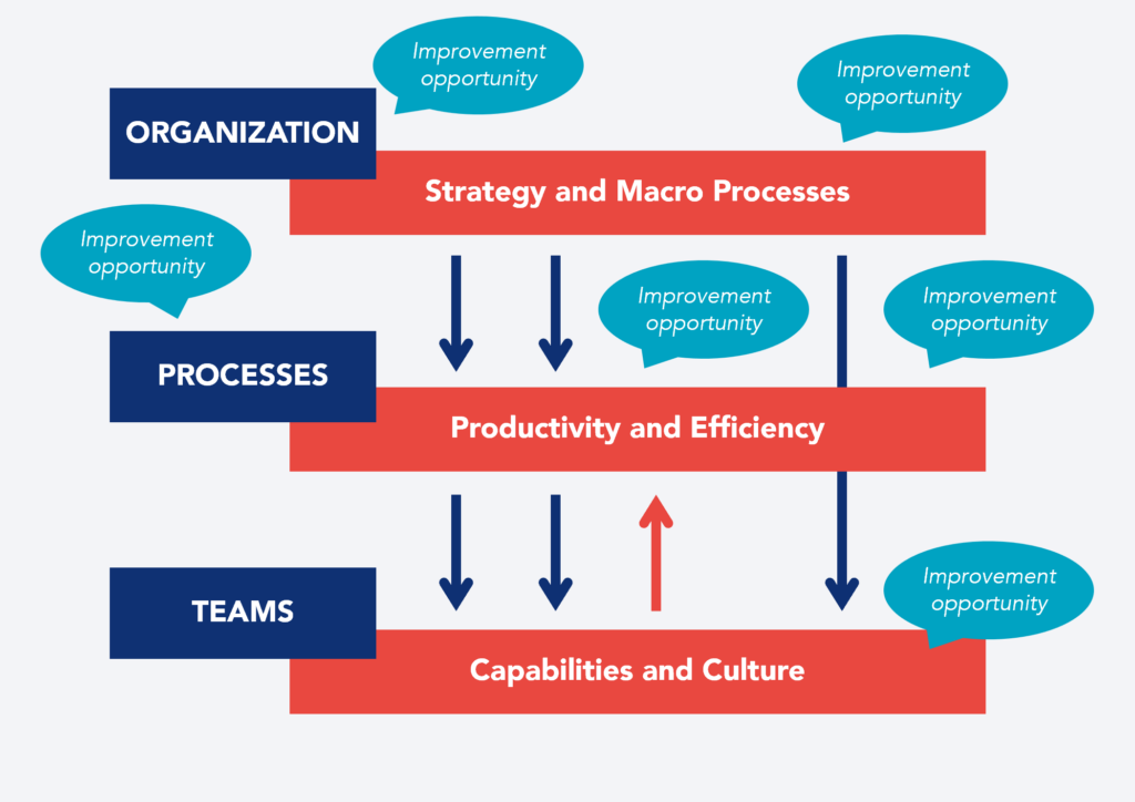 Organizational transformation based on organization, processes, and teams
