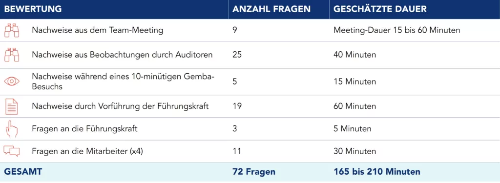 Audit-Struktur