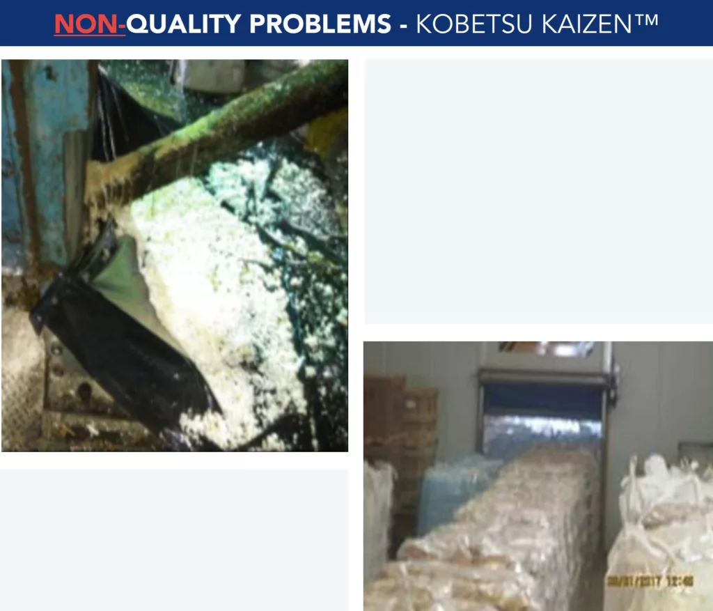 Kobetsu Kaizen implementation