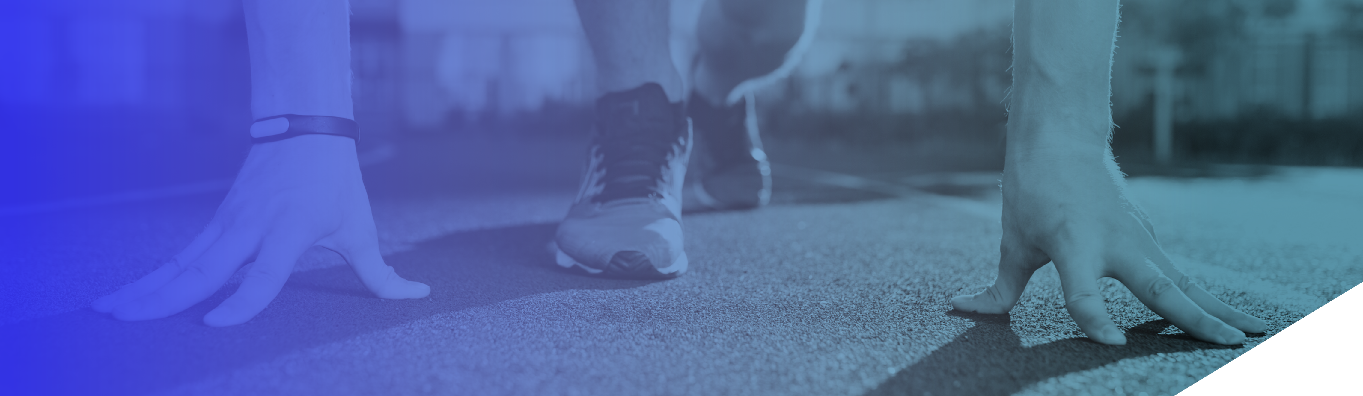 Build the KPI Tree — Baseline performance in 48 hours
