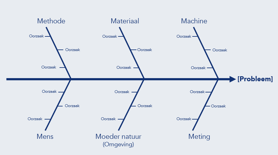 Example of an Ishikawa Diagram structure