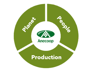 Representative diagram of the company&rsquo;s pillars 
