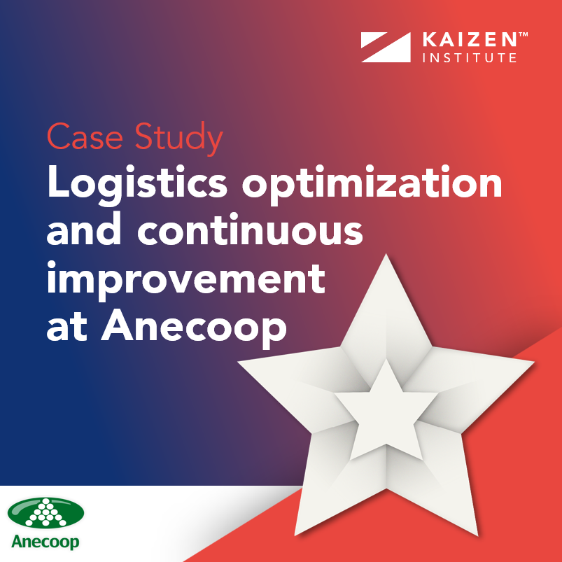 Logistics optimization and continuous improvement at Anecoop