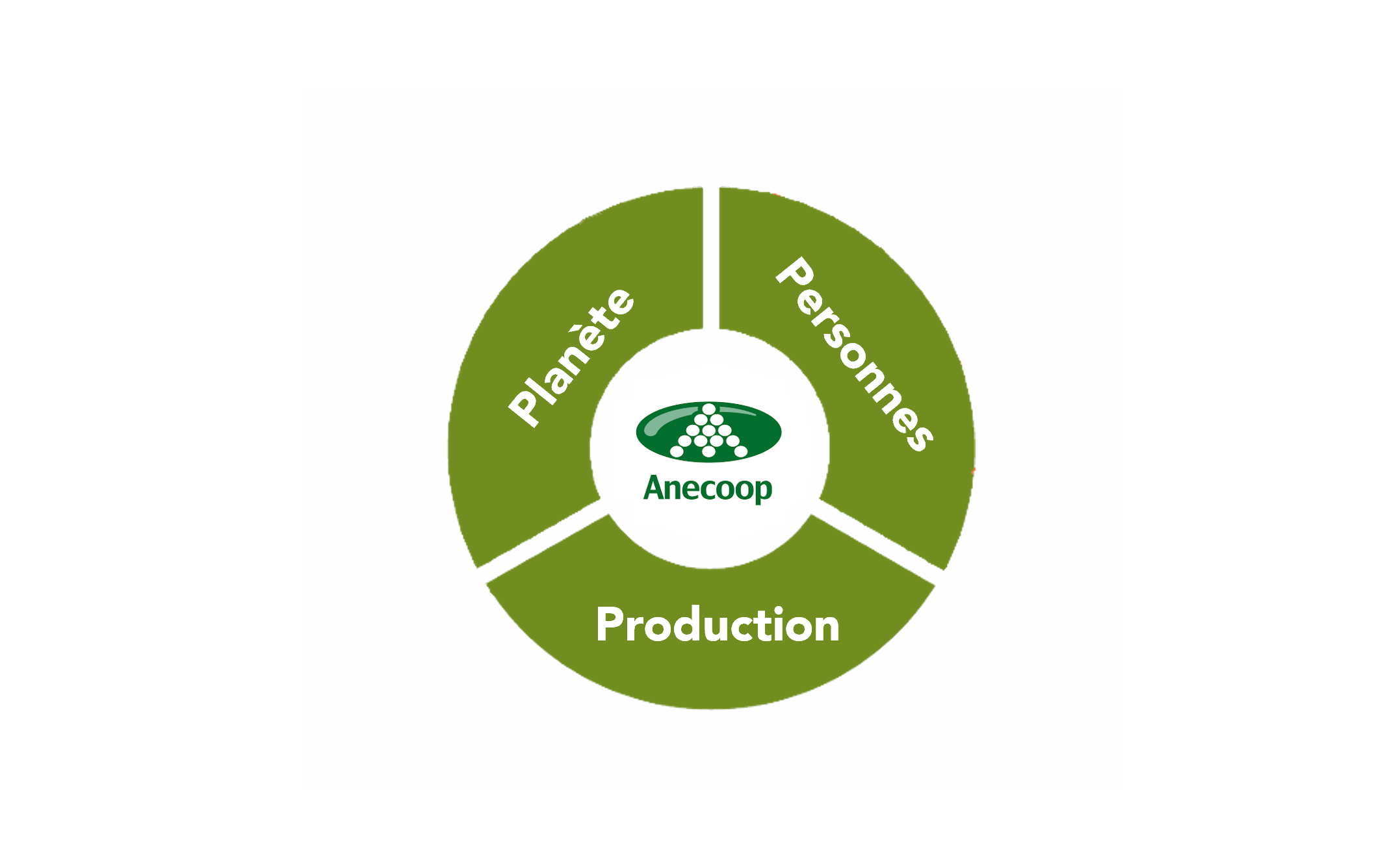 Diagramme repr&eacute;sentant les piliers de l'entreprise