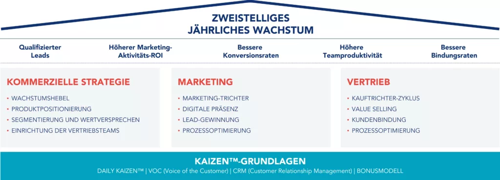 Abbildung zum KAIZEN™-Modell für Vertriebsexzellenz
