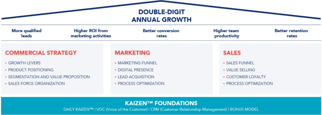Image representing the Kaizen Commercial Excellence Model