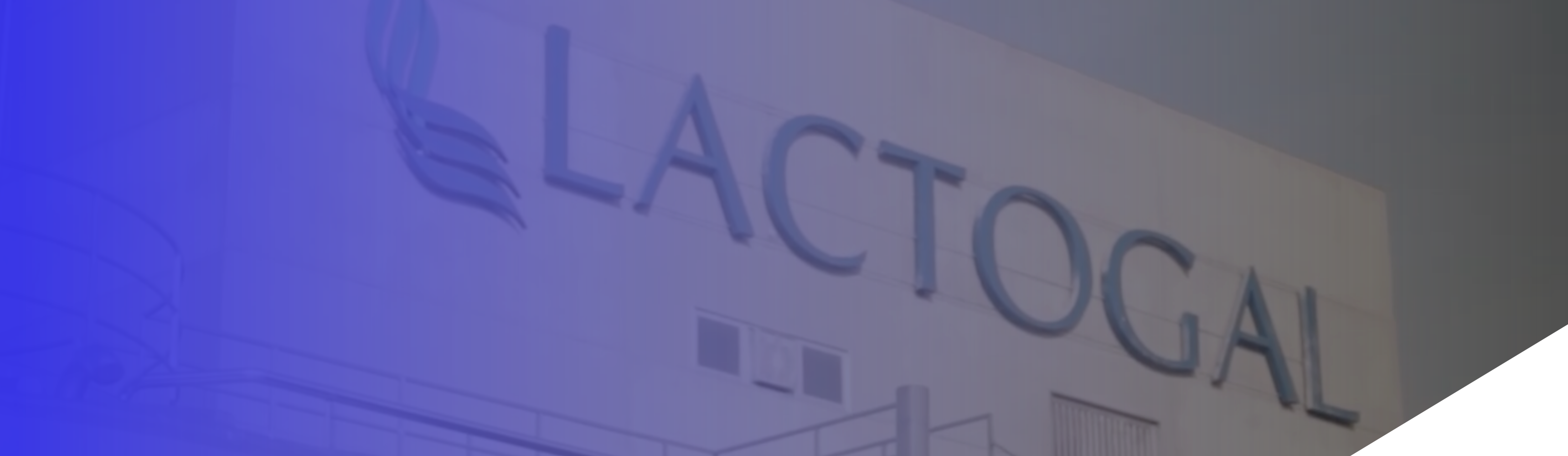 How Daily KAIZEN™ transformed Lactogal’s operations