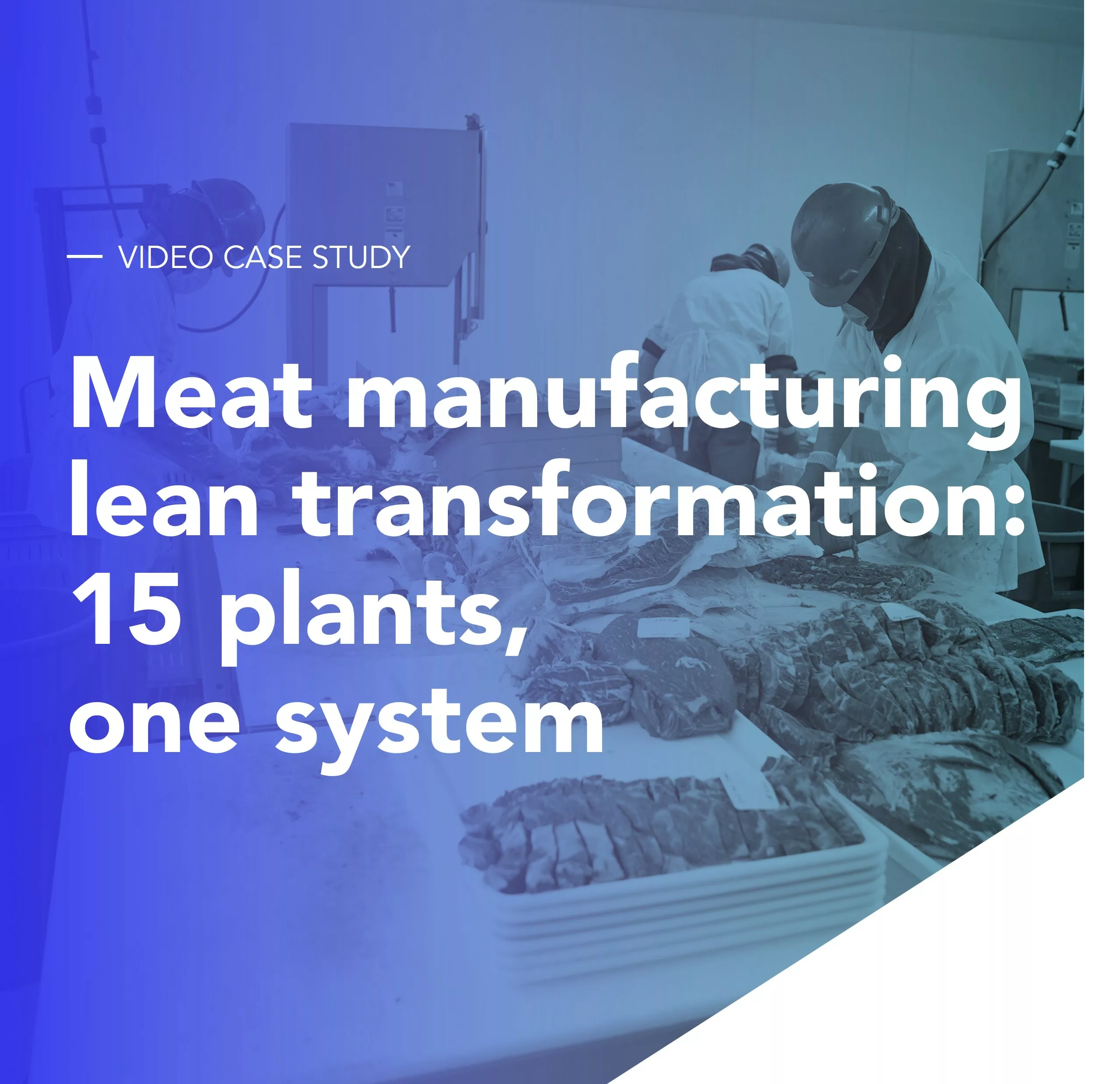 Meat manufacturing lean transformation: 15 plants, one system