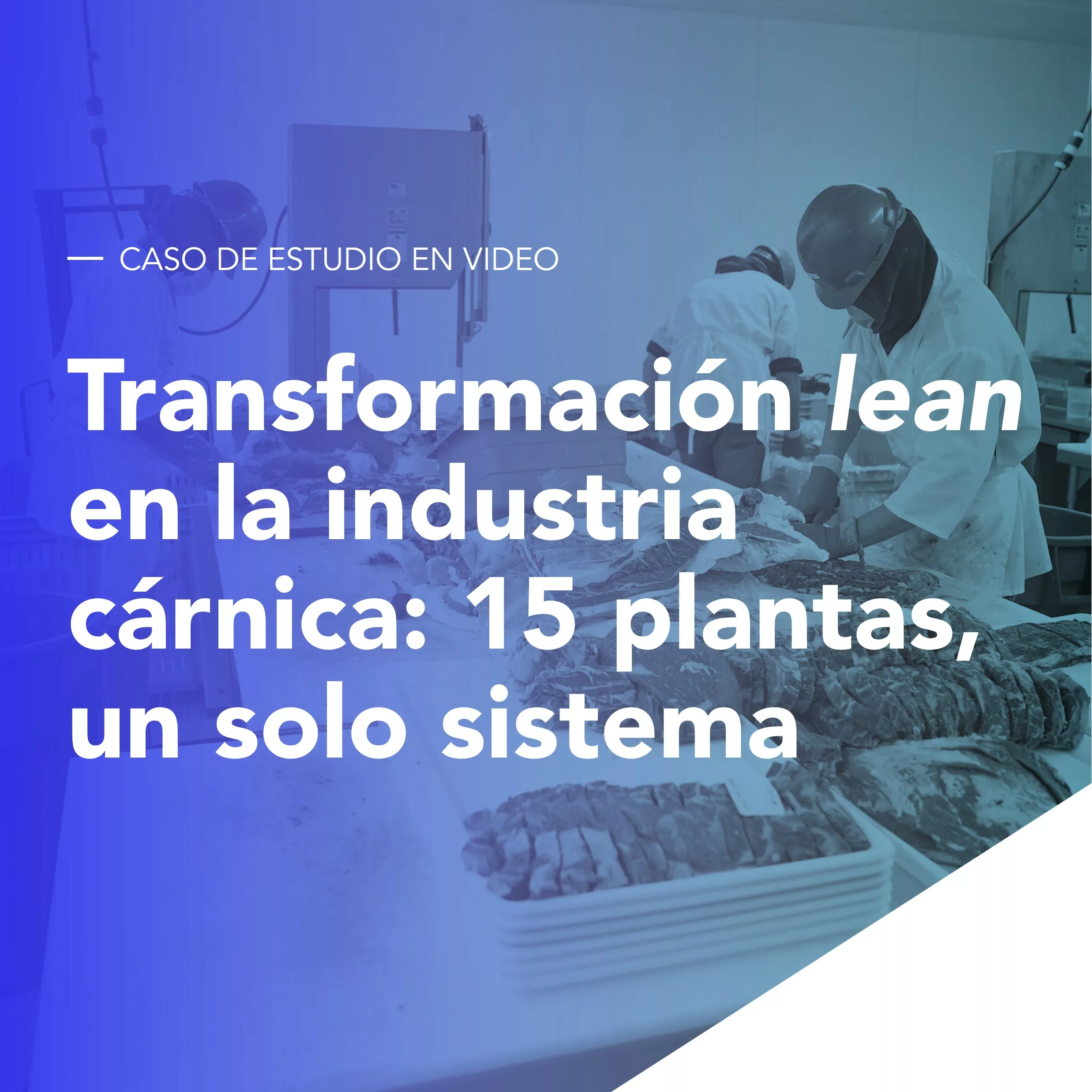 Transformación lean en la industria cárnica: 15 plantas, un solo sistema