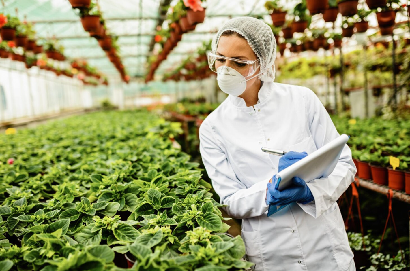 Sistema de Gestão de Segurança Alimentar: o que é, objetivos e como implementar